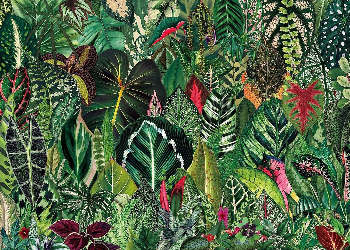 Ideabazar® Houseplant Jungle Jigsaw Puzzle 1000 Pieces
