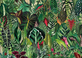 Ideabazar® Houseplant Jungle Jigsaw Puzzle 1000 Pieces