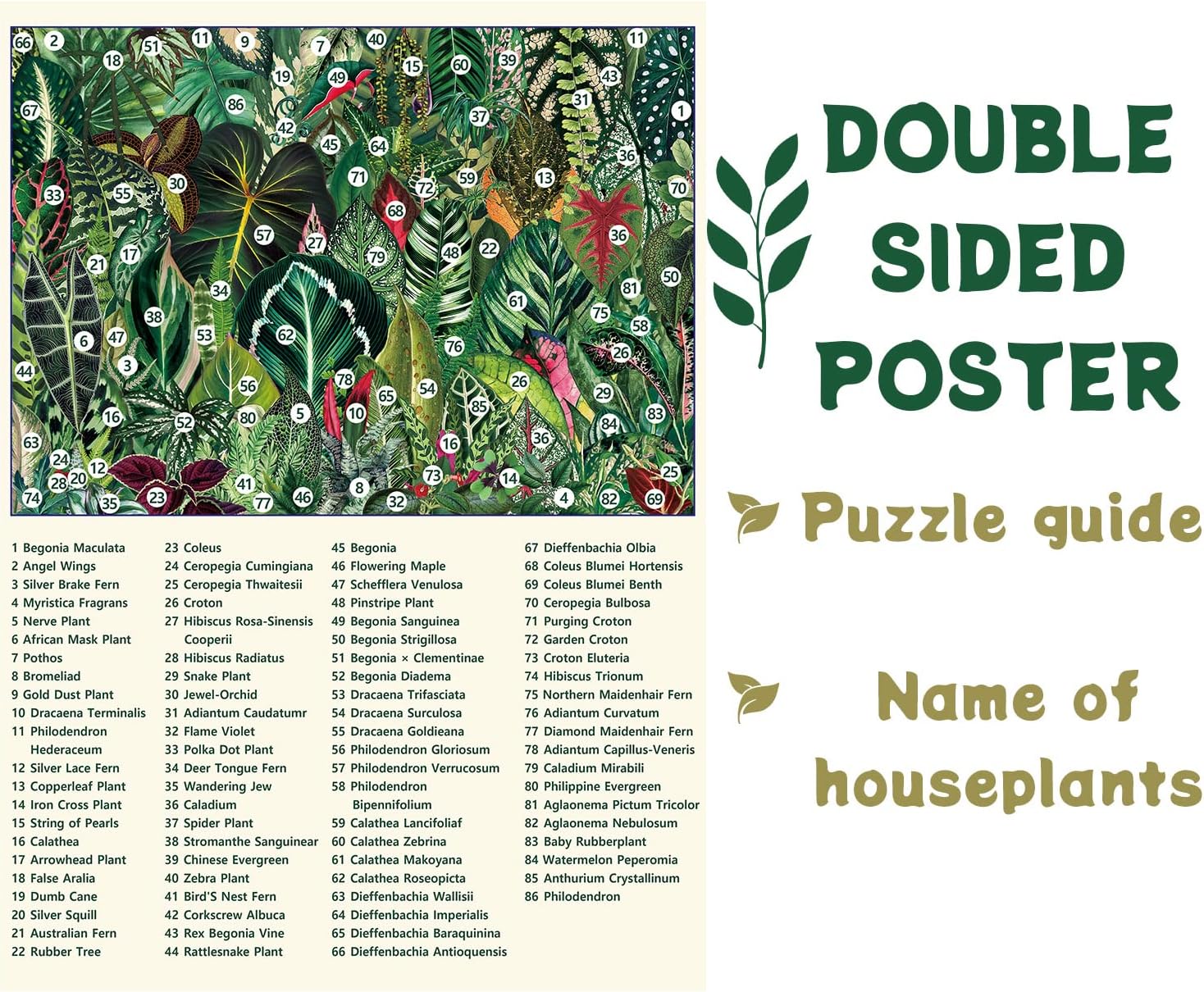 Ideabazar® Houseplant Jungle Jigsaw Puzzle 1000 Pieces
