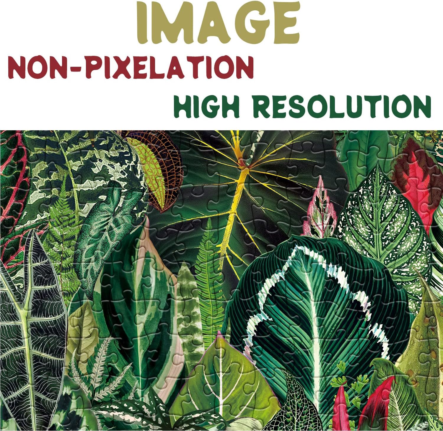 Ideabazar® Houseplant Jungle Jigsaw Puzzle 1000 Pieces