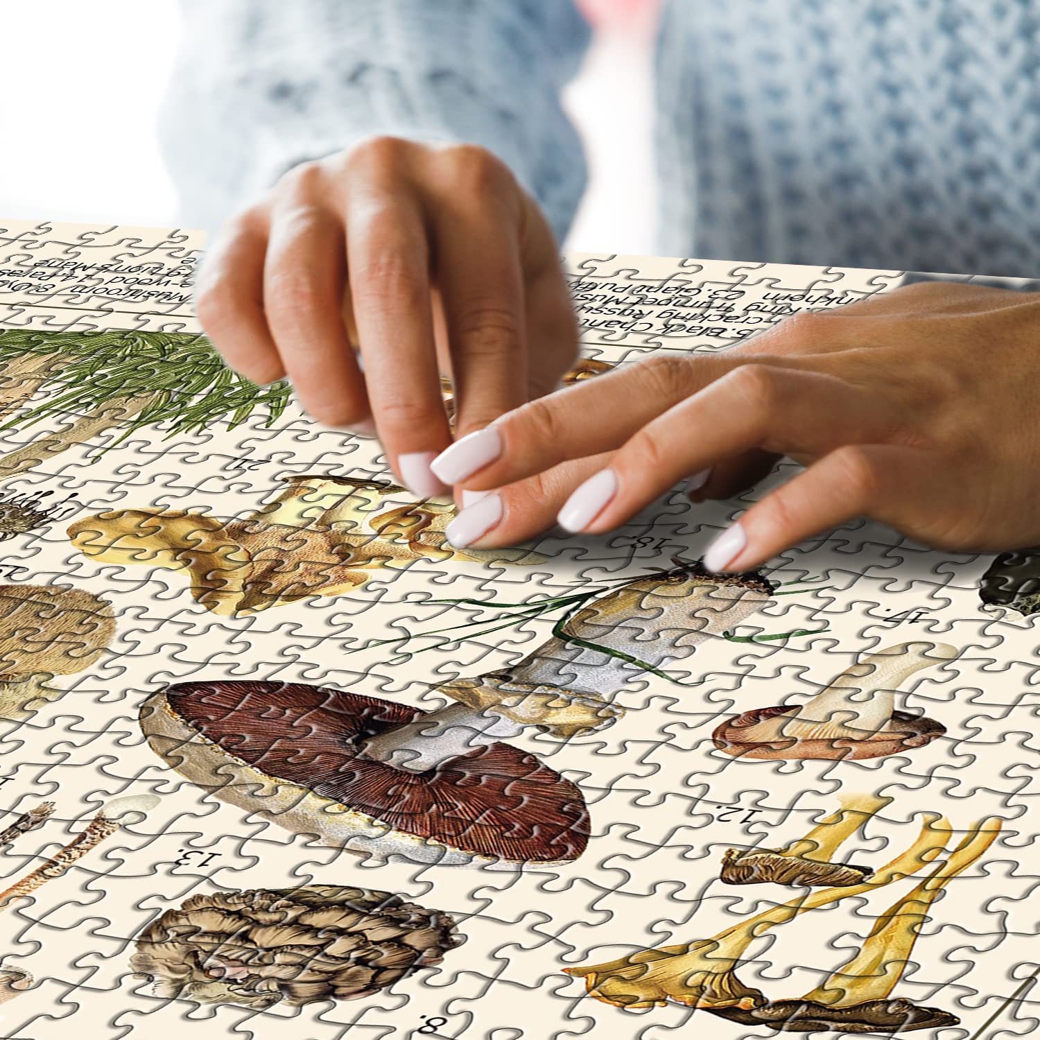Ideabazar® Vintage Mushroom Jigsaw Puzzle 1000 Pieces