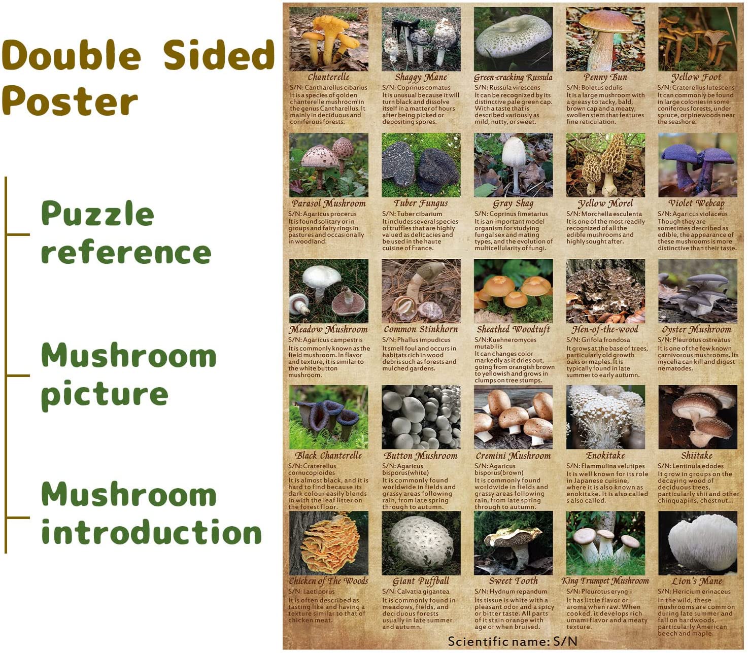 Ideabazar® Vintage Mushroom Jigsaw Puzzle 1000 Pieces