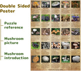 Ideabazar® Vintage Mushroom Jigsaw Puzzle 1000 Pieces
