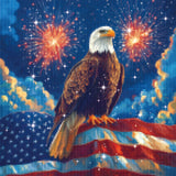 Freedom Eagle Diamond Painting Kit