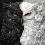 Yin Yang Owl Diamond Painting Kit
