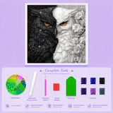 Yin Yang Owl Diamond Painting Kit