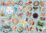 Ideabazar® Ocean Theme Shells Jigsaw Puzzles 1000 Pieces