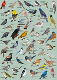 Ideabazar® Backyard Birds Jigsaw Puzzle 1000 Pieces