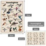 Ideabazar® Hummingbirds Jigsaw Puzzles 1000 Pieces