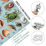 Ideabazar® Ocean Theme Shells Jigsaw Puzzles 1000 Pieces