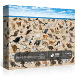 Ideabazar® Beach Pooping Cats Jigsaw Puzzle 1000 Pieces