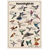 Ideabazar® Hummingbirds Jigsaw Puzzles 1000 Pieces