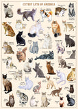 Ideabazar® Cutest Cats Jigsaw Puzzle 1000 Pieces