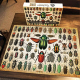 Ideabazar® Beetles Jigsaw Puzzle 1000 Pieces