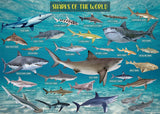 Ideabazar® Ocean Theme Shark Jigsaw Puzzle 1000 Pieces