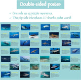 Ideabazar® Ocean Theme Shark Jigsaw Puzzle 1000 Pieces