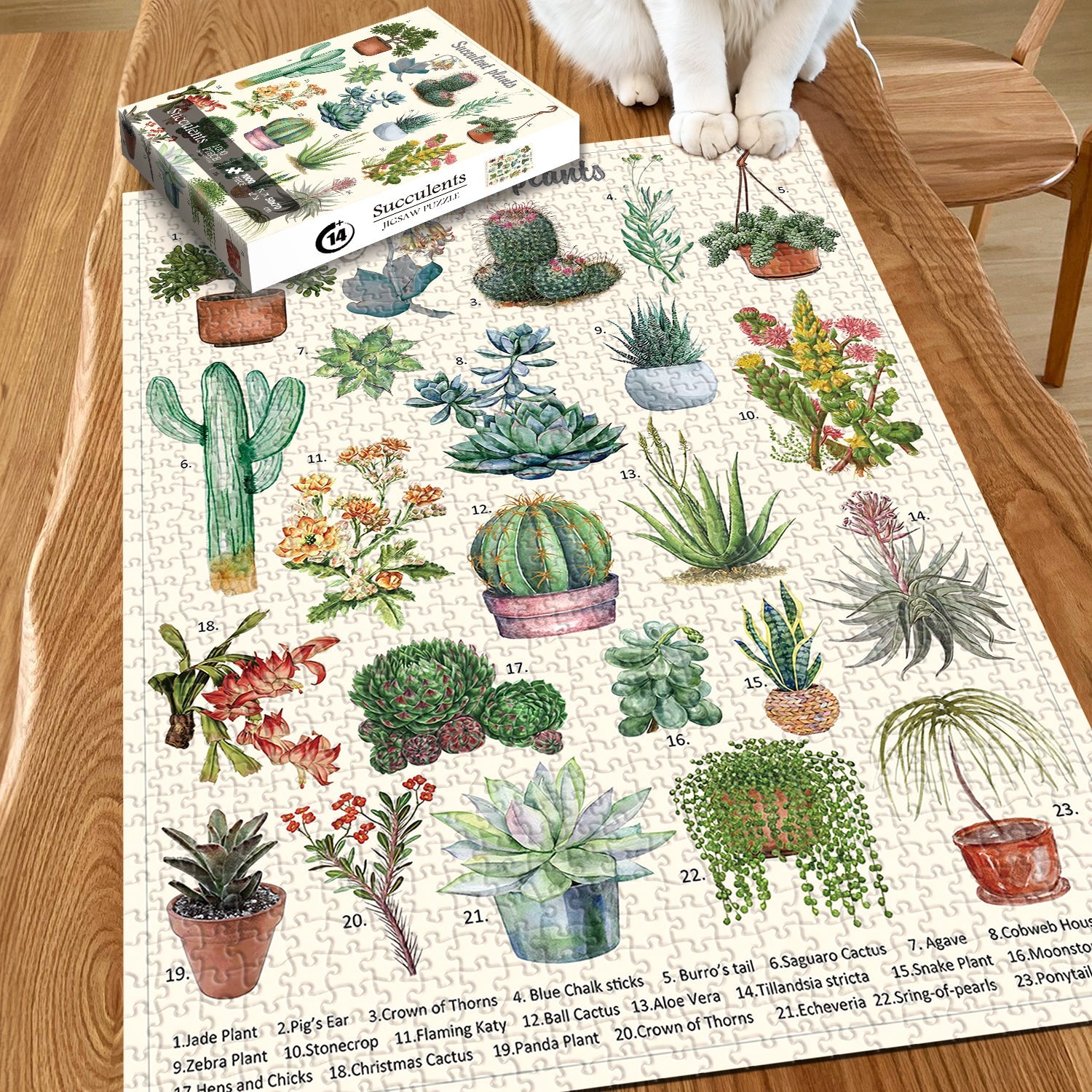 Ideabazar® Vintage Succulent Jigsaw Puzzle 1000 Pieces