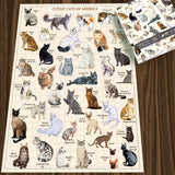 Ideabazar® Cutest Cats Jigsaw Puzzle 1000 Pieces