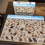 Ideabazar® Beach Pooping Cats Jigsaw Puzzle 1000 Pieces